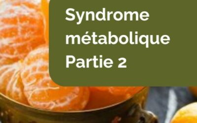 Quand maigrir ne fonctionne pas : comprendre le syndrome métabolique et l’insulinorésistance (partie 2)